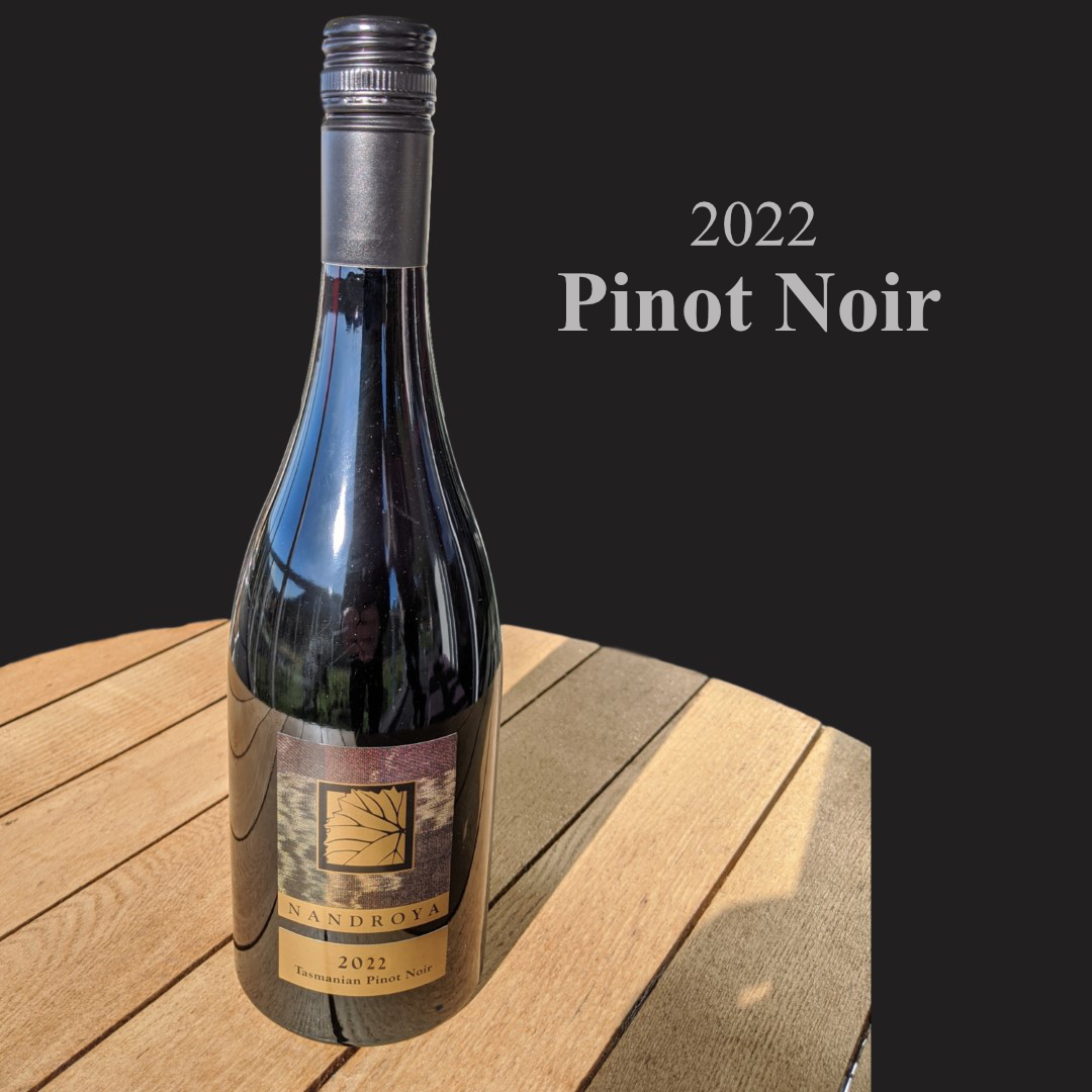 2022 Pinot Noir
